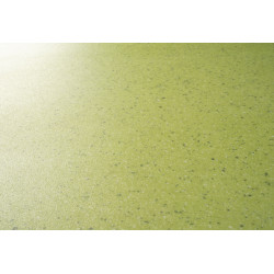 PVC podlaha - lino Master X 2973