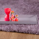 AKCE: 80x150 cm Kusový koberec Emilia 250 powder purple