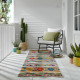 Běhoun Miami Sunshine Multi – na ven i na doma